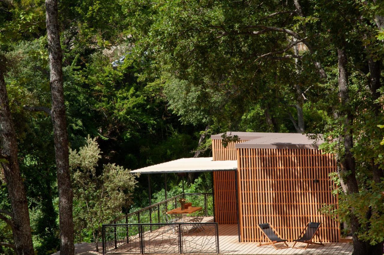Les Cabanes De La Fontaine Lacoste  Exteriör bild
